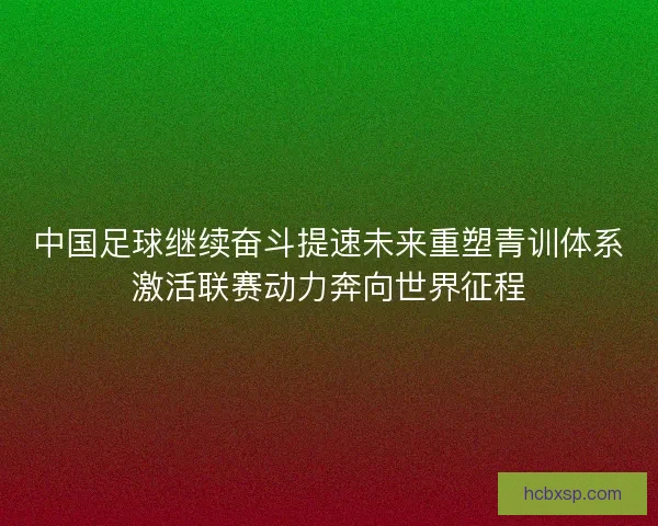 中国足球继续奋斗提速未来重塑青训体系激活联赛动力奔向世界征程
